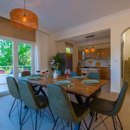Βίλα Zalin