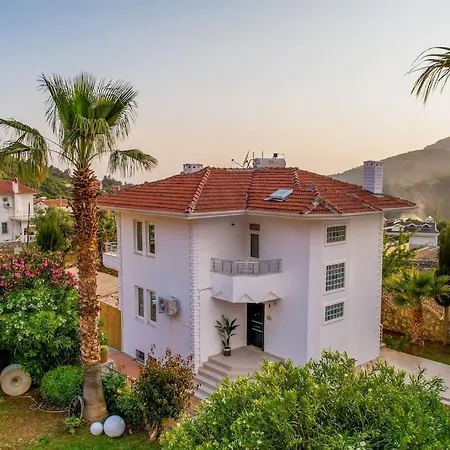 Zalin Vila Ovacık