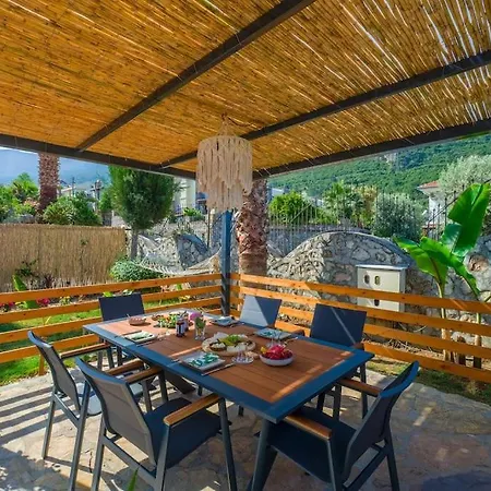 فيلة Zalin Ovacık