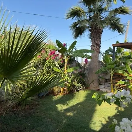 Zalin * Ovacık